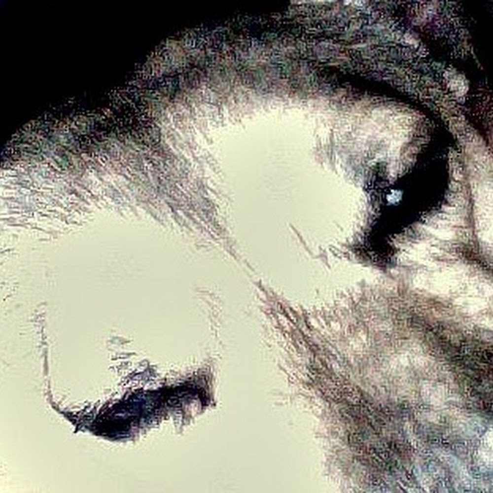 Meet your Posher, Patrina